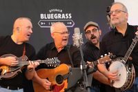 Grey Eagle Bluegrass Band